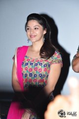 Krishna Gadi Veera Prema Gaadha Movie Success Tour